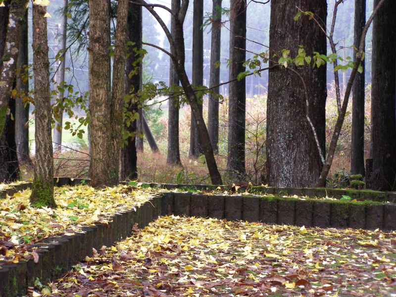 f:id:yamtoh:20141115112610j:image:w360