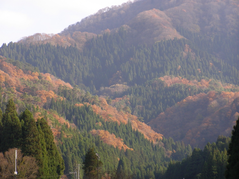 f:id:yamtoh:20141127143328j:image:w360