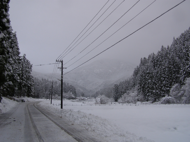 f:id:yamtoh:20141206163322j:image:w360