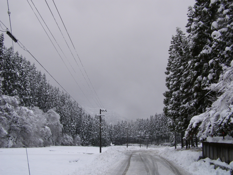 f:id:yamtoh:20141206163330j:image:w360