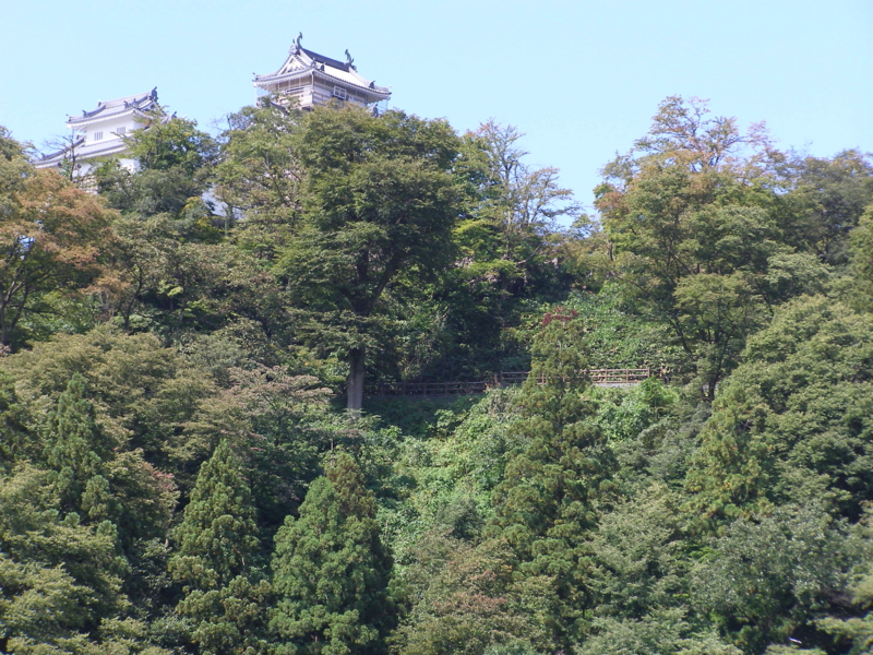 f:id:yamtoh:20150929122521j:image:w640