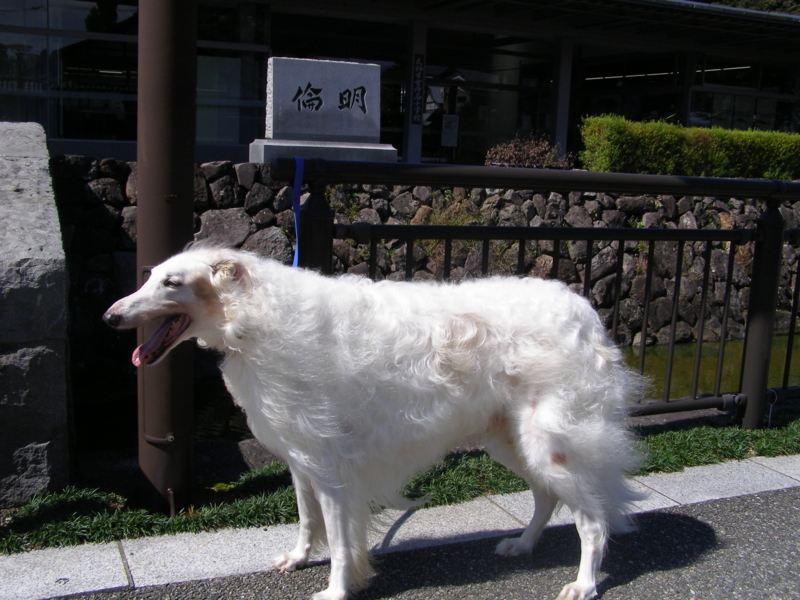 f:id:yamtoh:20150929124610j:image:w360