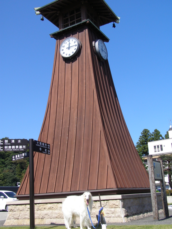 f:id:yamtoh:20150929125352j:image:w360