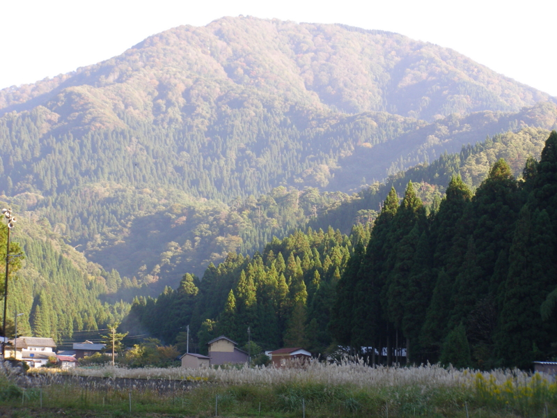 f:id:yamtoh:20151016160113j:image:w640