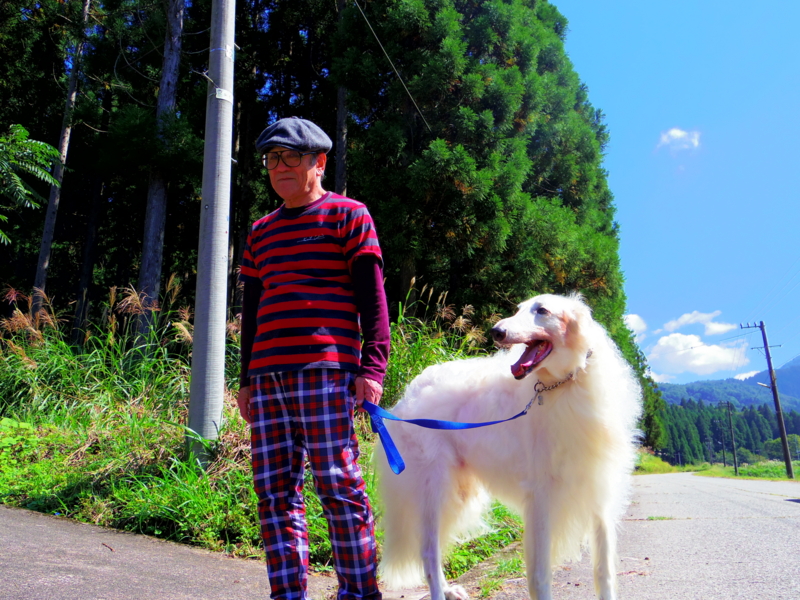 f:id:yamtoh:20160221114706j:image:w360