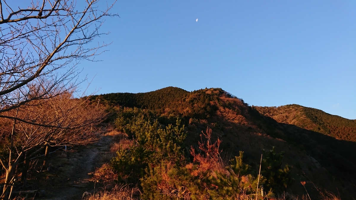 f:id:yamyams:20190820202433j:plain f:id:yamyams:20190820202433j:plain