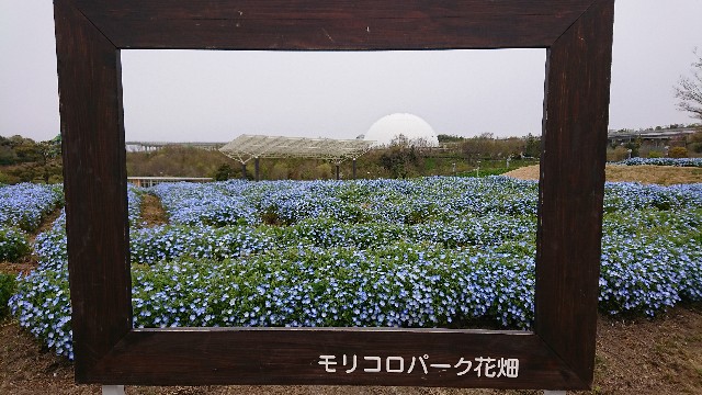 f:id:yamyams:20200609073602j:image f:id:yamyams:20200609073602j:image