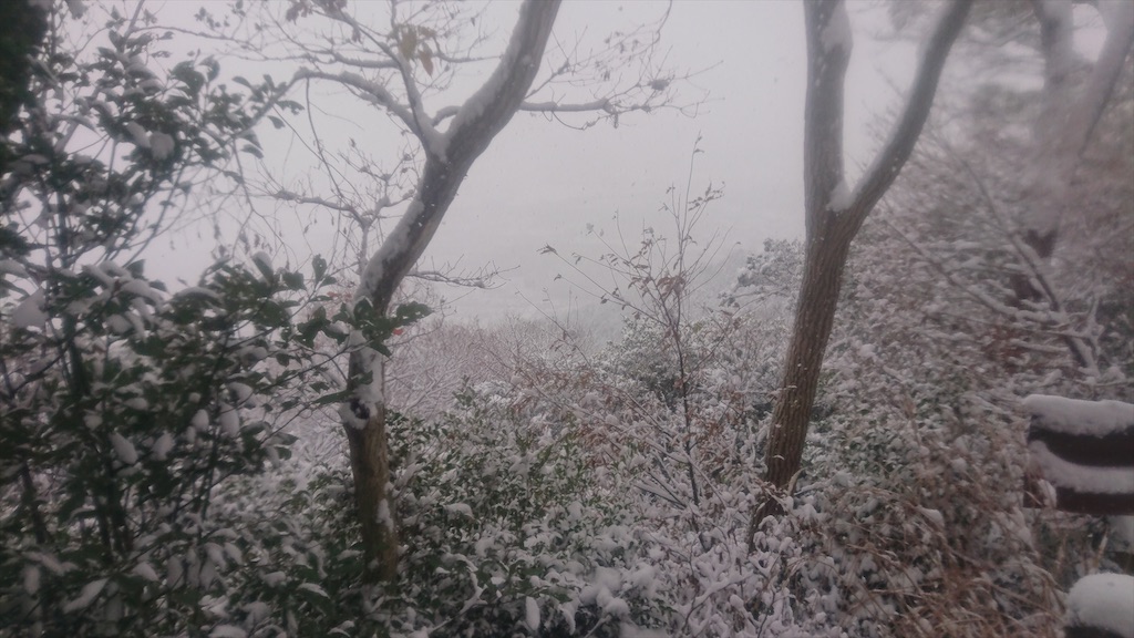 f:id:yamyams:20210309204716j:image f:id:yamyams:20210309204716j:image