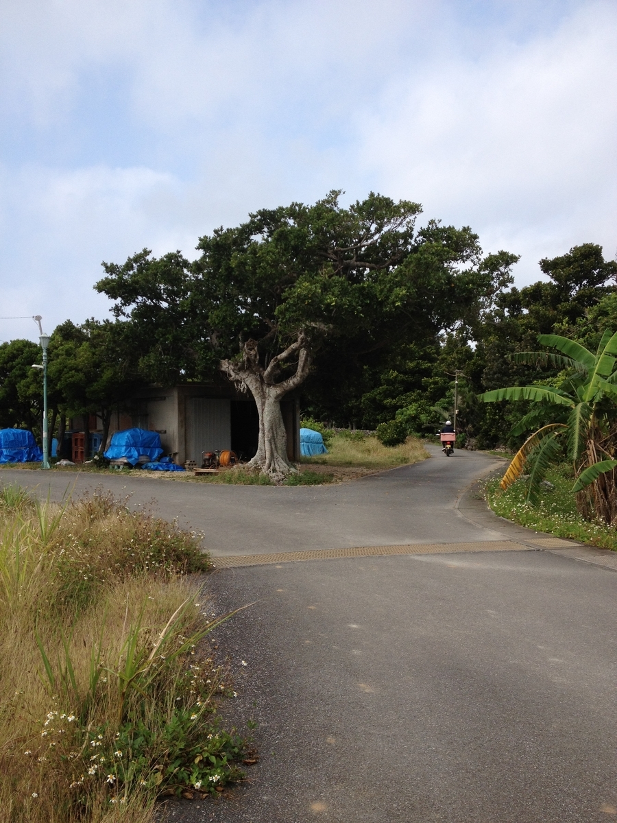 f:id:yananann:20210312222645j:plain