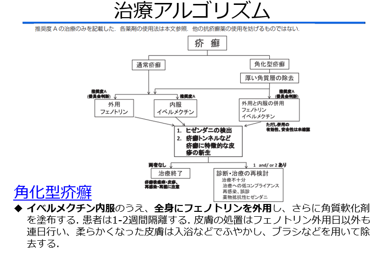 【皮ふの疾患について】見逃せない疥癬の診断とその知識(医療従事者むけ) - Yanase Derma’s Diary