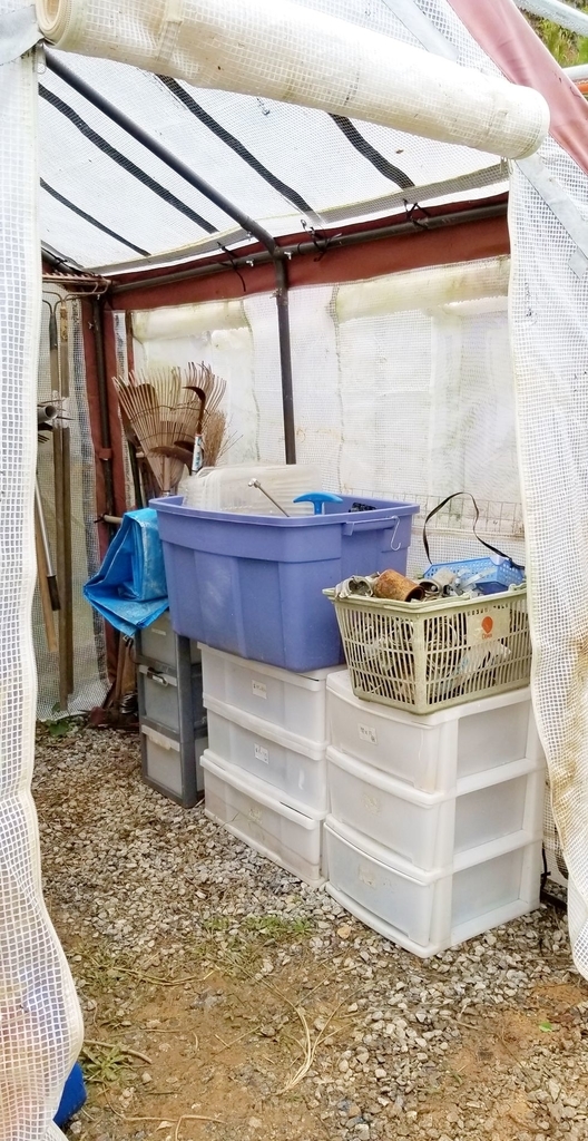 f:id:yanbarusango:20190103142039j:plain