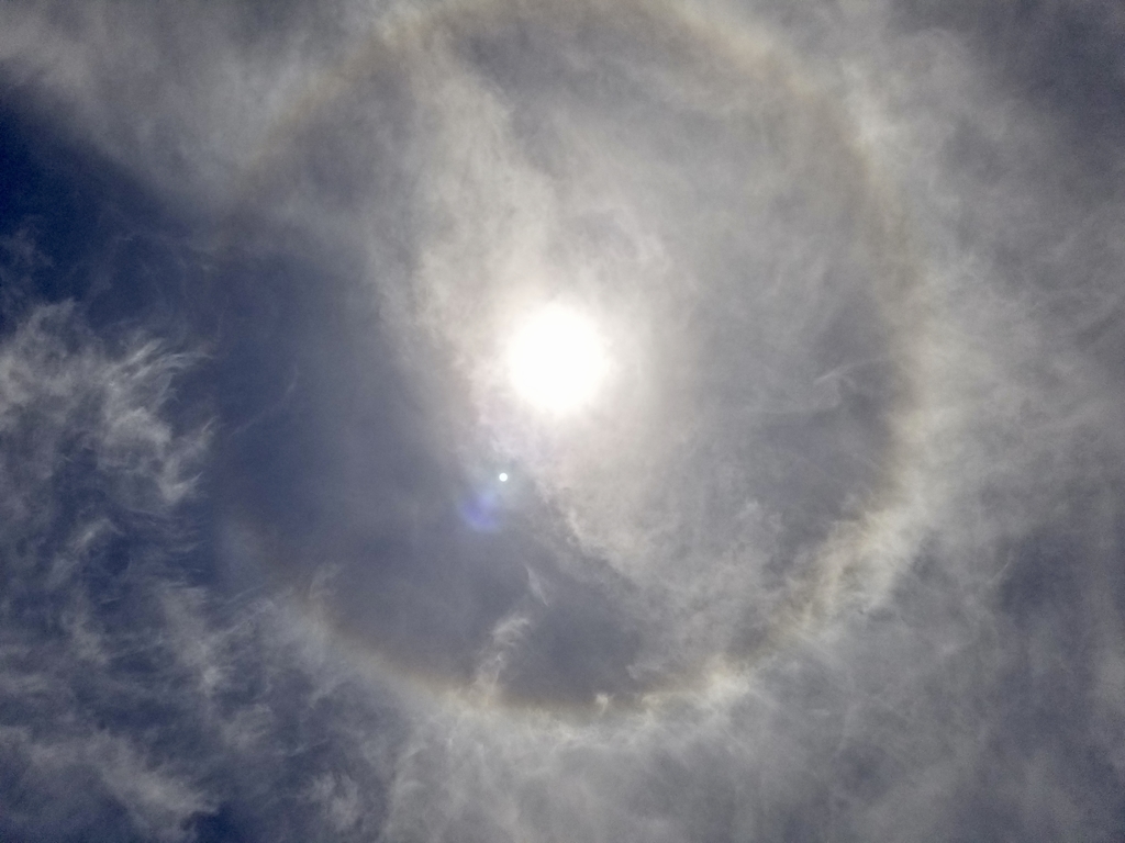 f:id:yanbarusango:20190129140829j:plain f:id:yanbarusango:20190129140829j:plain