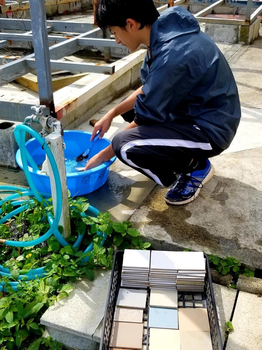 f:id:yanbarusango:20190320190046j:plain