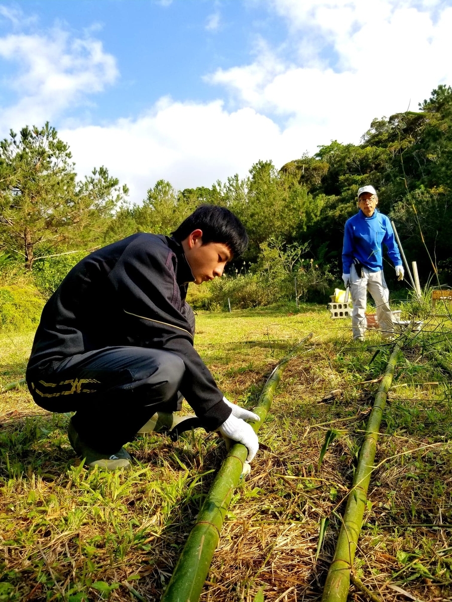 f:id:yanbarusango:20190320211808j:plain