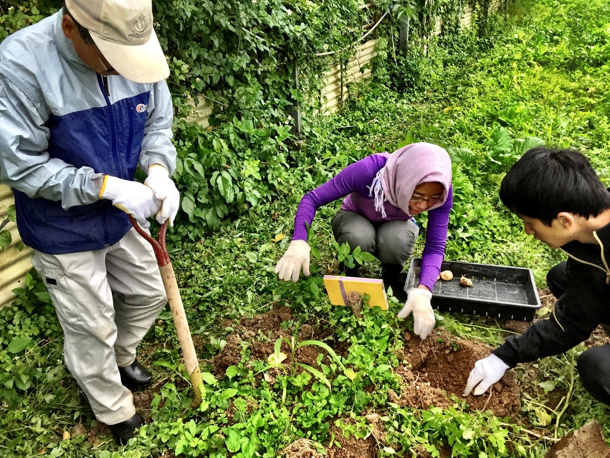 f:id:yanbarusango:20190320211858j:plain