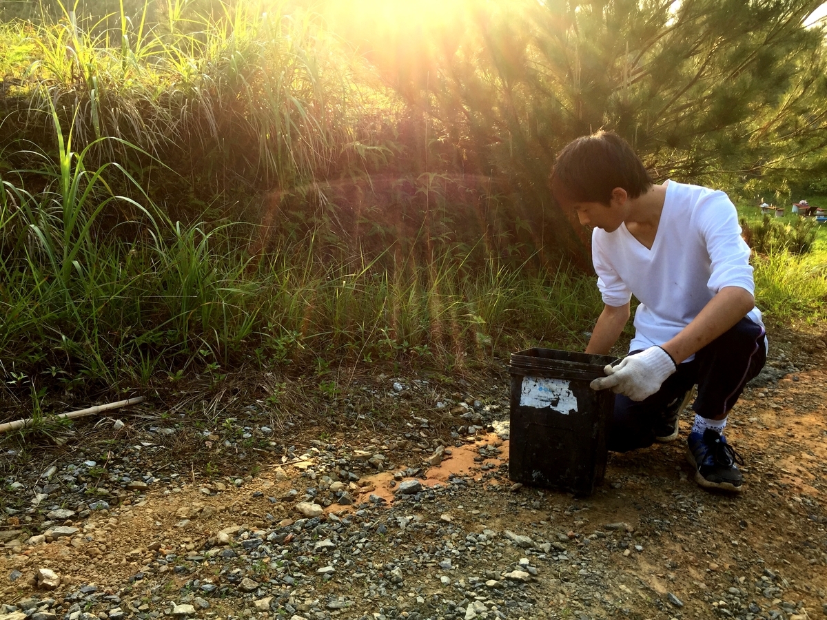 f:id:yanbarusango:20190320214454j:plain