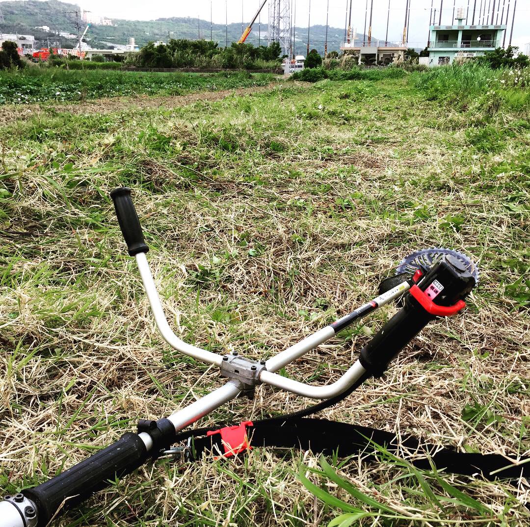 f:id:yanbarusango:20190415143639j:plain f:id:yanbarusango:20190415143639j:plain