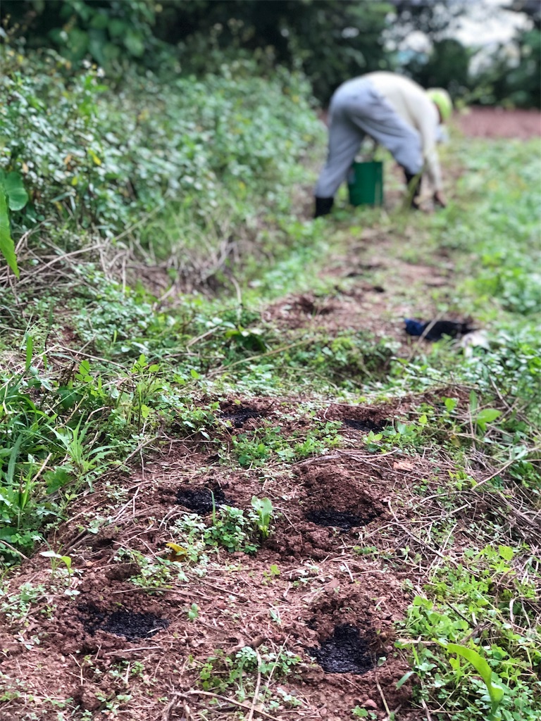 f:id:yanbarusango:20190613173750j:image f:id:yanbarusango:20190613173750j:image