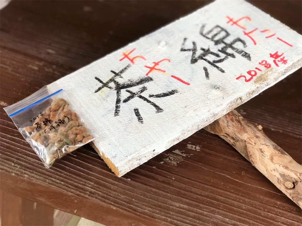 f:id:yanbarusango:20190613173757j:image f:id:yanbarusango:20190613173757j:image