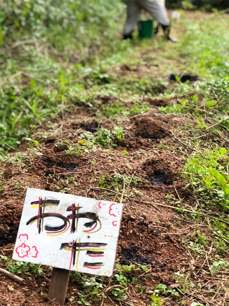 f:id:yanbarusango:20190613173804j:image f:id:yanbarusango:20190613173804j:image