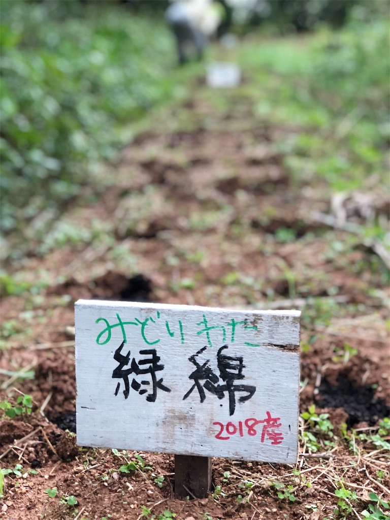 f:id:yanbarusango:20190613173808j:image f:id:yanbarusango:20190613173808j:image