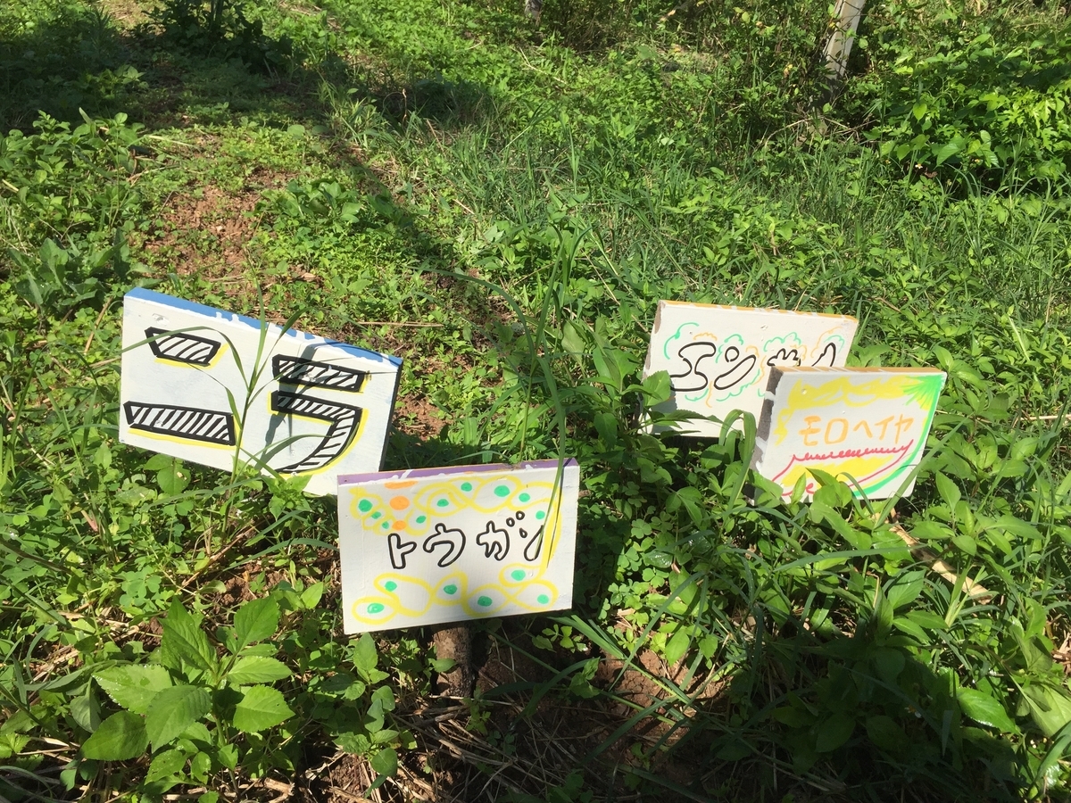 f:id:yanbarusango:20190619195214j:plain f:id:yanbarusango:20190619195214j:plain