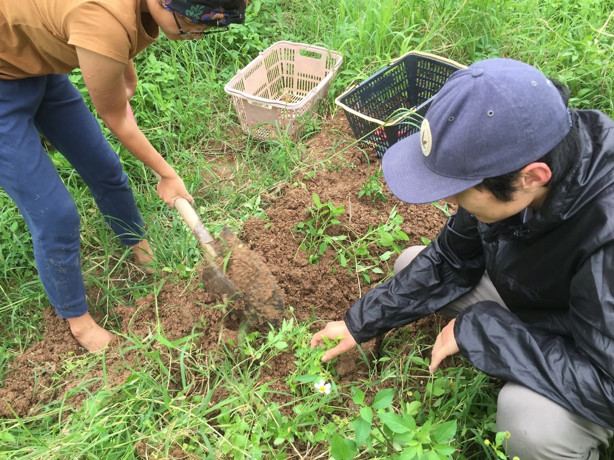 f:id:yanbarusango:20190619195245j:plain f:id:yanbarusango:20190619195245j:plain