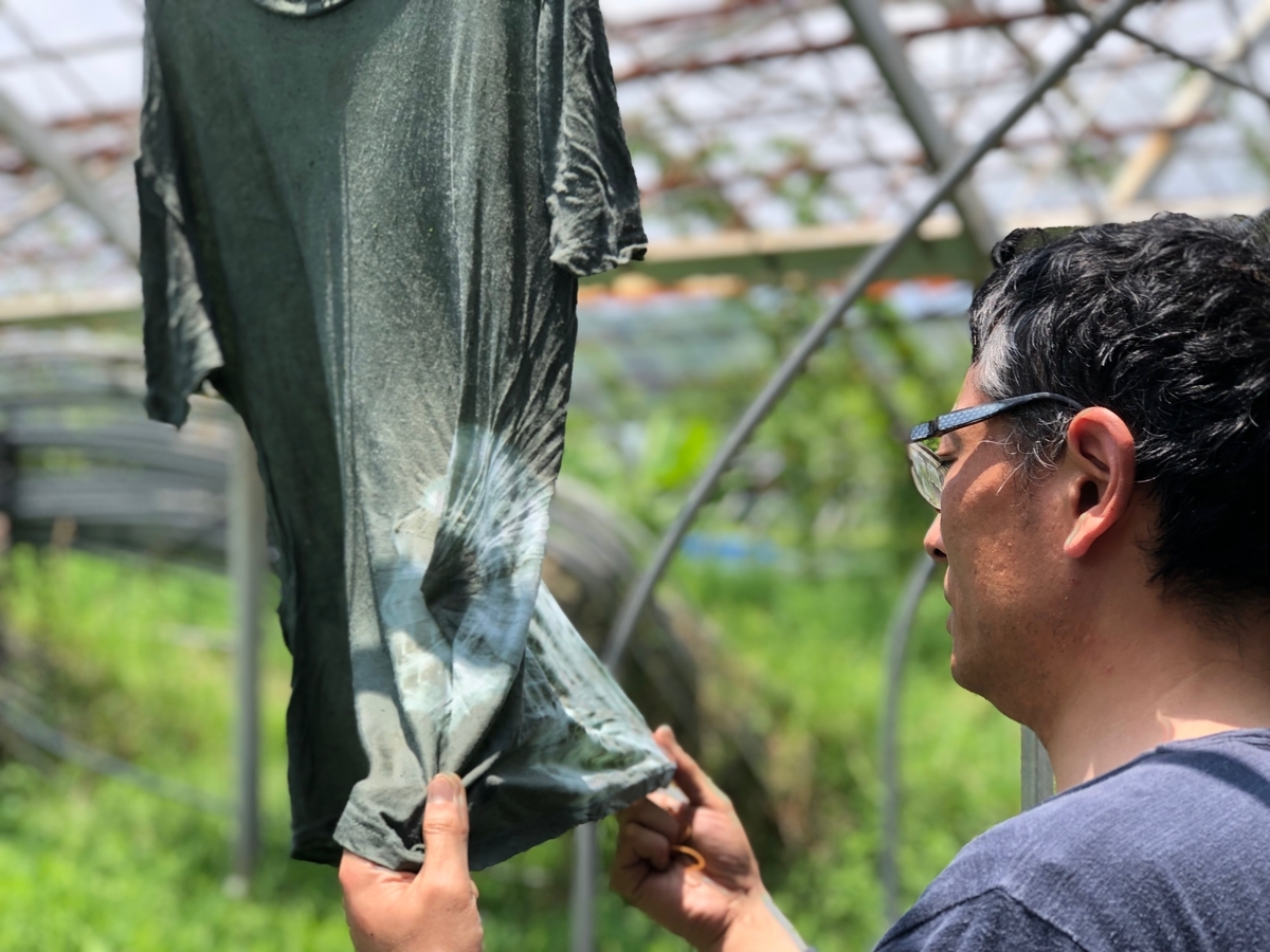 f:id:yanbarusango:20190626125845j:plain