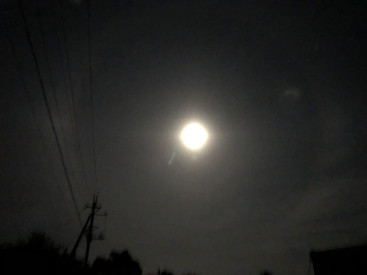 f:id:yanbarusango:20190815110049j:plain f:id:yanbarusango:20190815110049j:plain