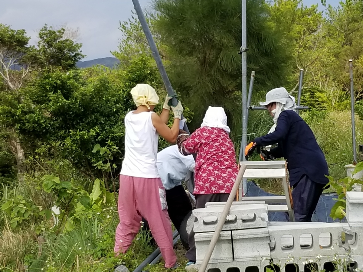 f:id:yanbarusango:20191012111209j:plain f:id:yanbarusango:20191012111209j:plain