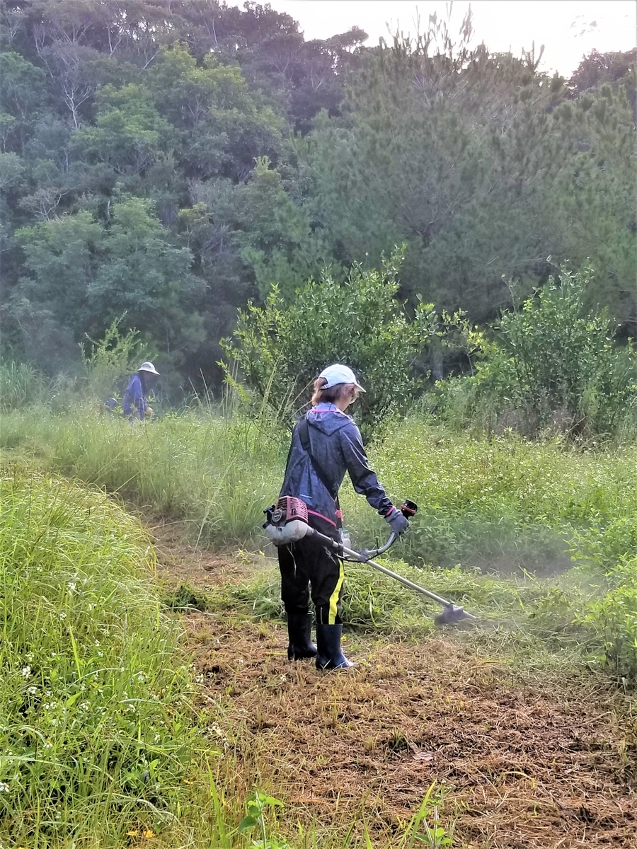 f:id:yanbarusango:20191012111400j:plain f:id:yanbarusango:20191012111400j:plain