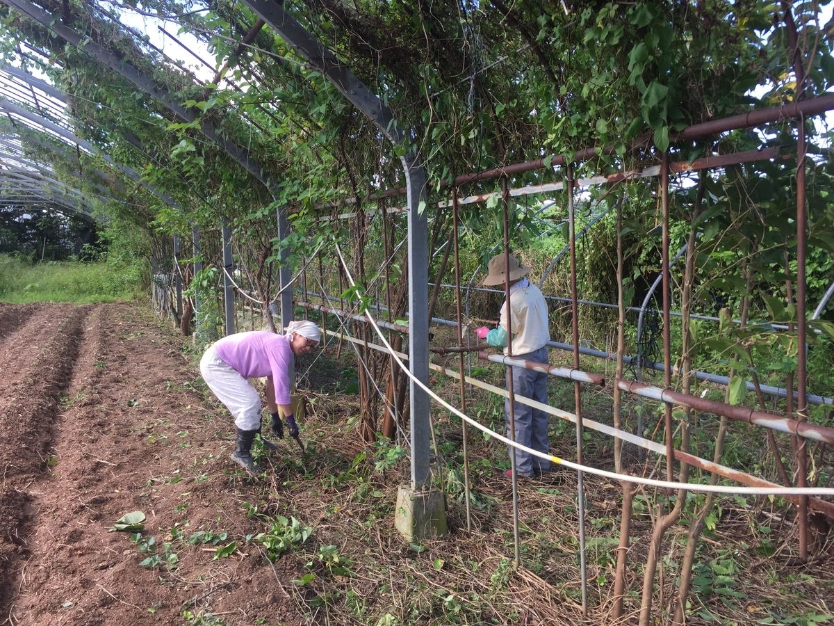 f:id:yanbarusango:20191023193117j:plain f:id:yanbarusango:20191023193117j:plain