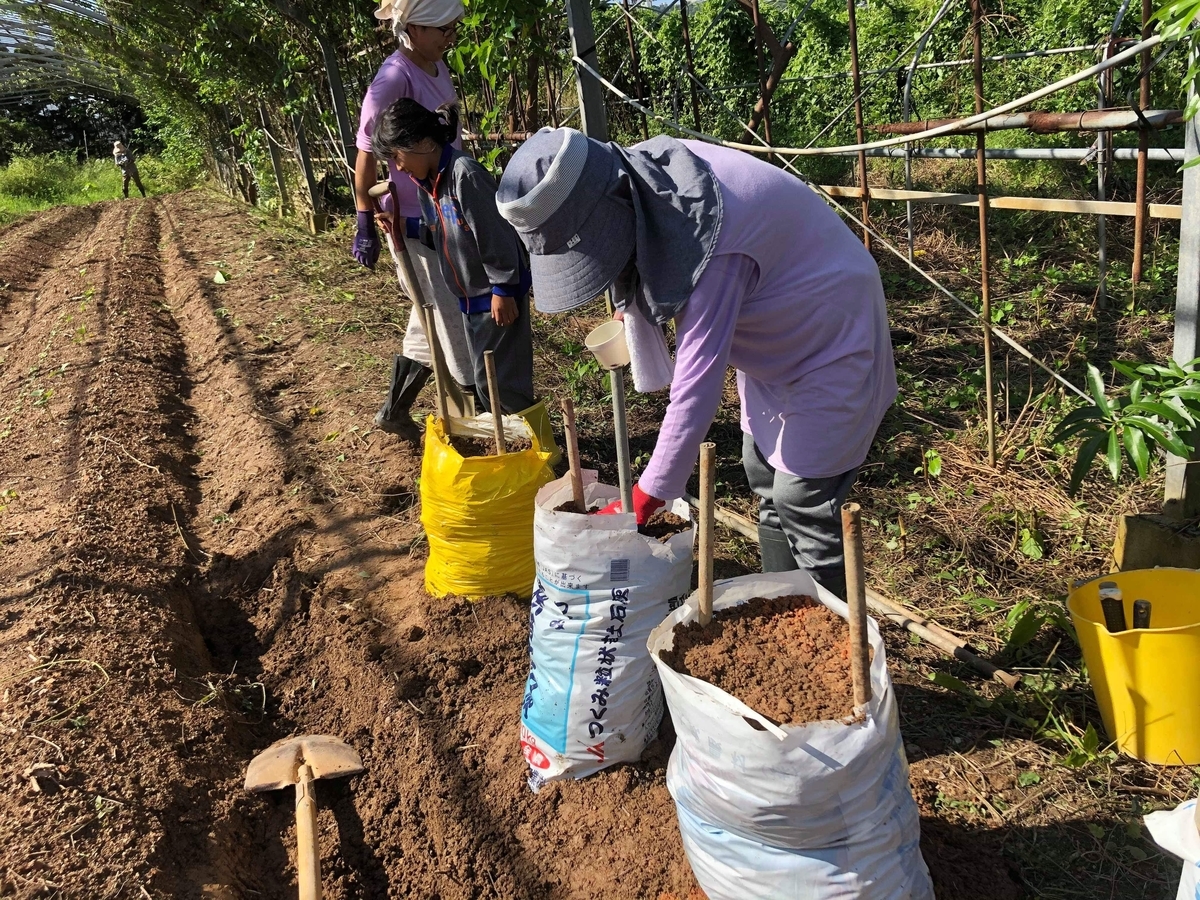 f:id:yanbarusango:20191023193406j:plain f:id:yanbarusango:20191023193406j:plain