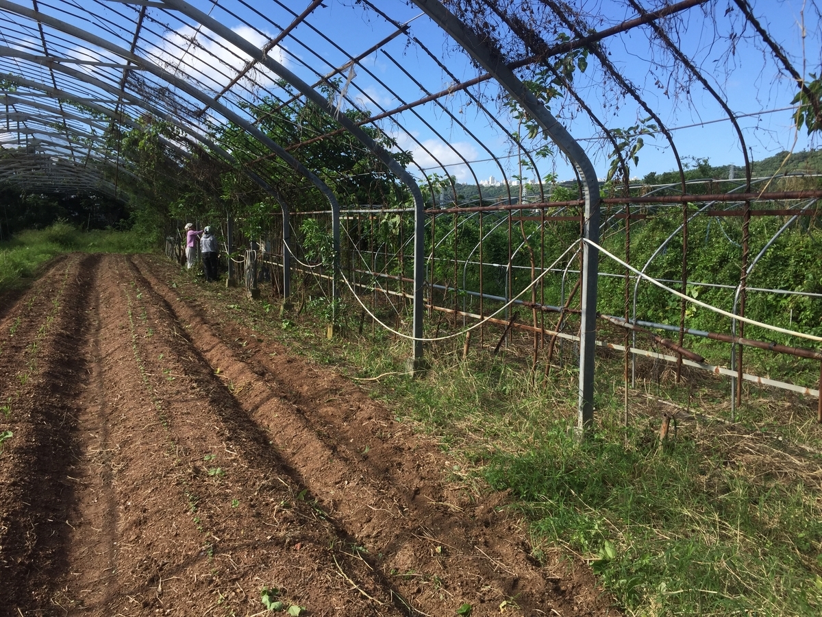 f:id:yanbarusango:20191023193510j:plain f:id:yanbarusango:20191023193510j:plain