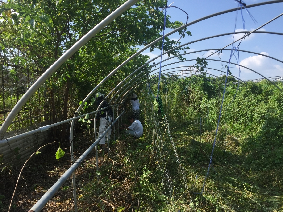 f:id:yanbarusango:20191023195009j:plain f:id:yanbarusango:20191023195009j:plain