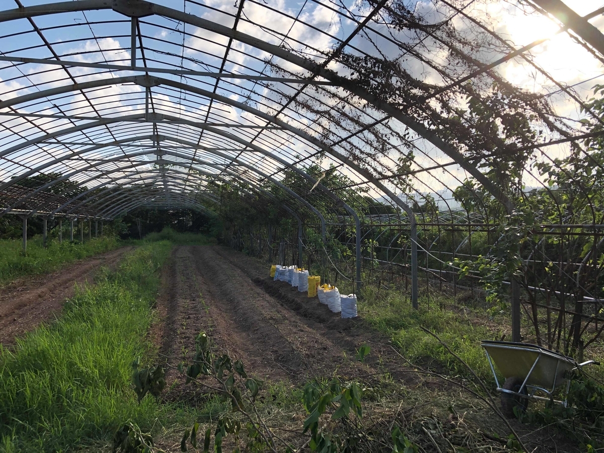 f:id:yanbarusango:20191023195416j:plain f:id:yanbarusango:20191023195416j:plain