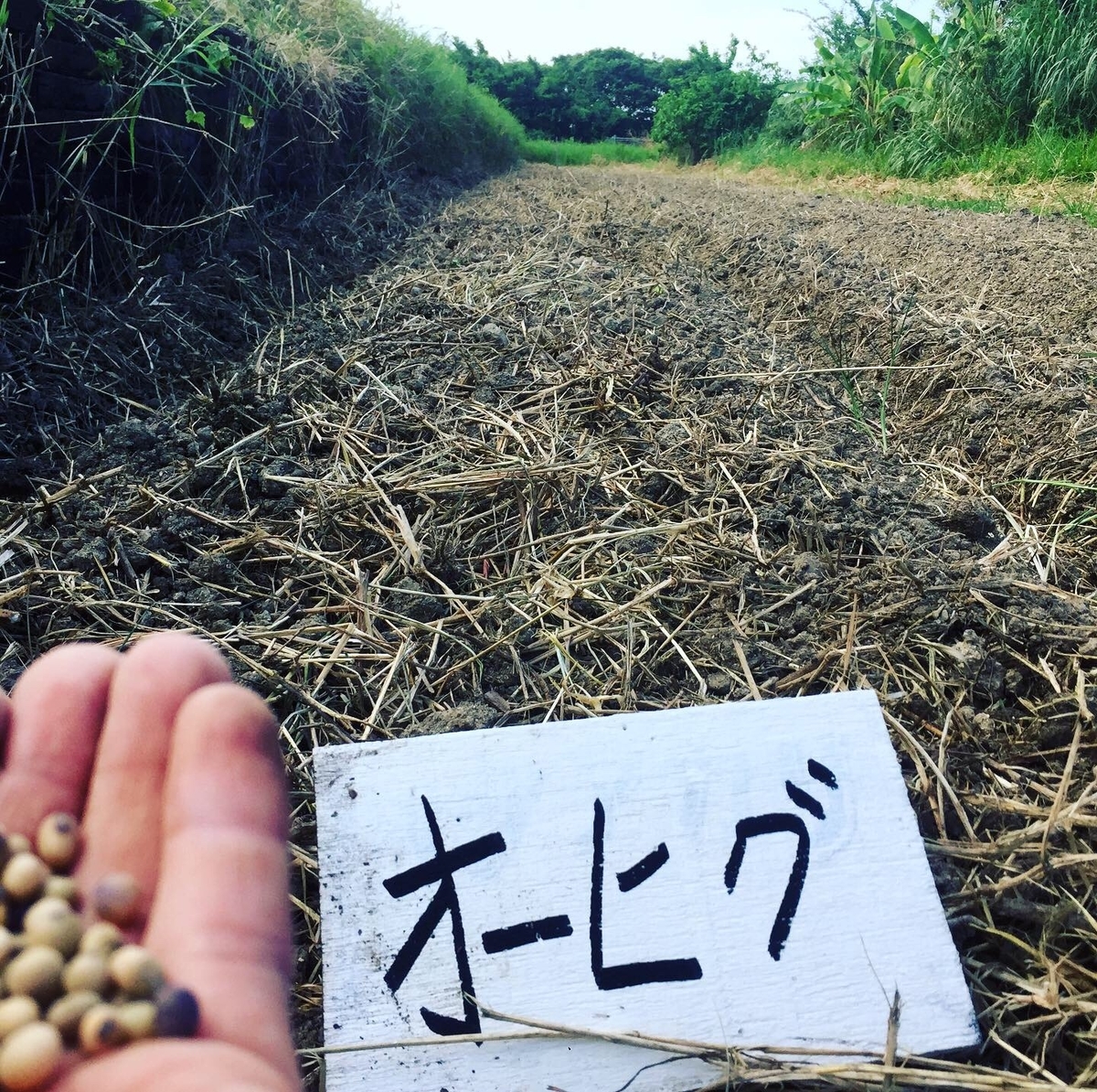 f:id:yanbarusango:20191029204435j:plain f:id:yanbarusango:20191029204435j:plain