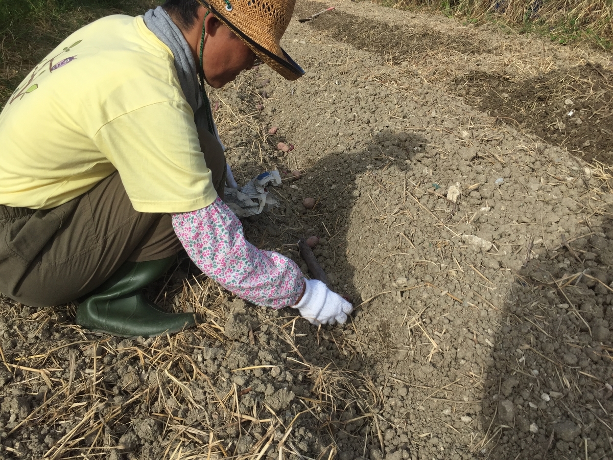 f:id:yanbarusango:20191029205701j:plain f:id:yanbarusango:20191029205701j:plain