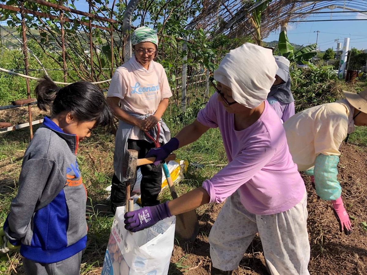 f:id:yanbarusango:20191029205743j:plain f:id:yanbarusango:20191029205743j:plain