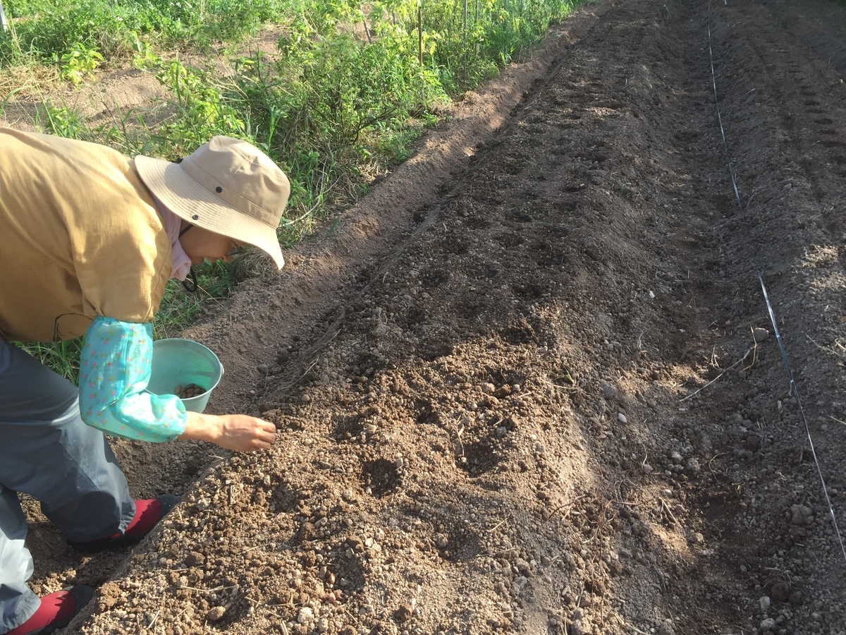 f:id:yanbarusango:20191029211408j:plain f:id:yanbarusango:20191029211408j:plain