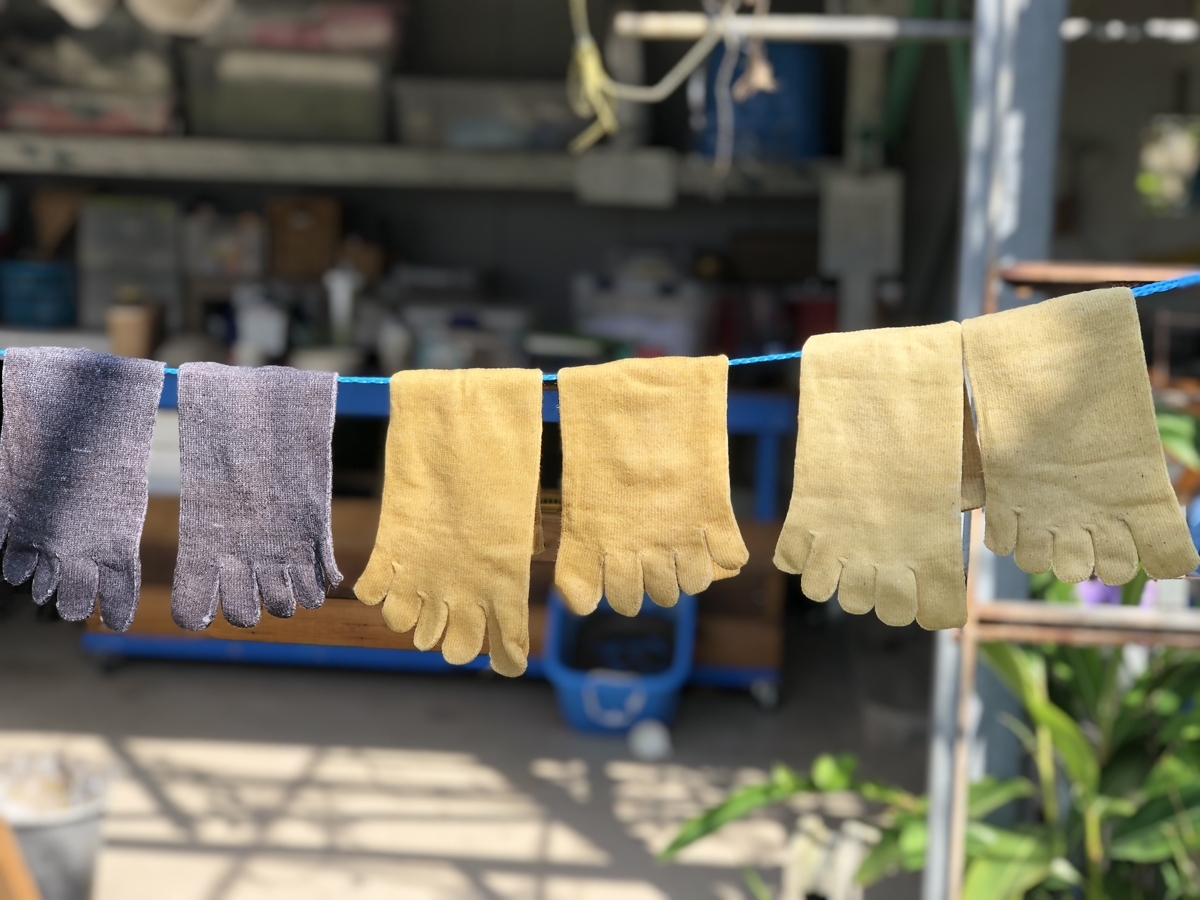 f:id:yanbarusango:20191116131746j:plain