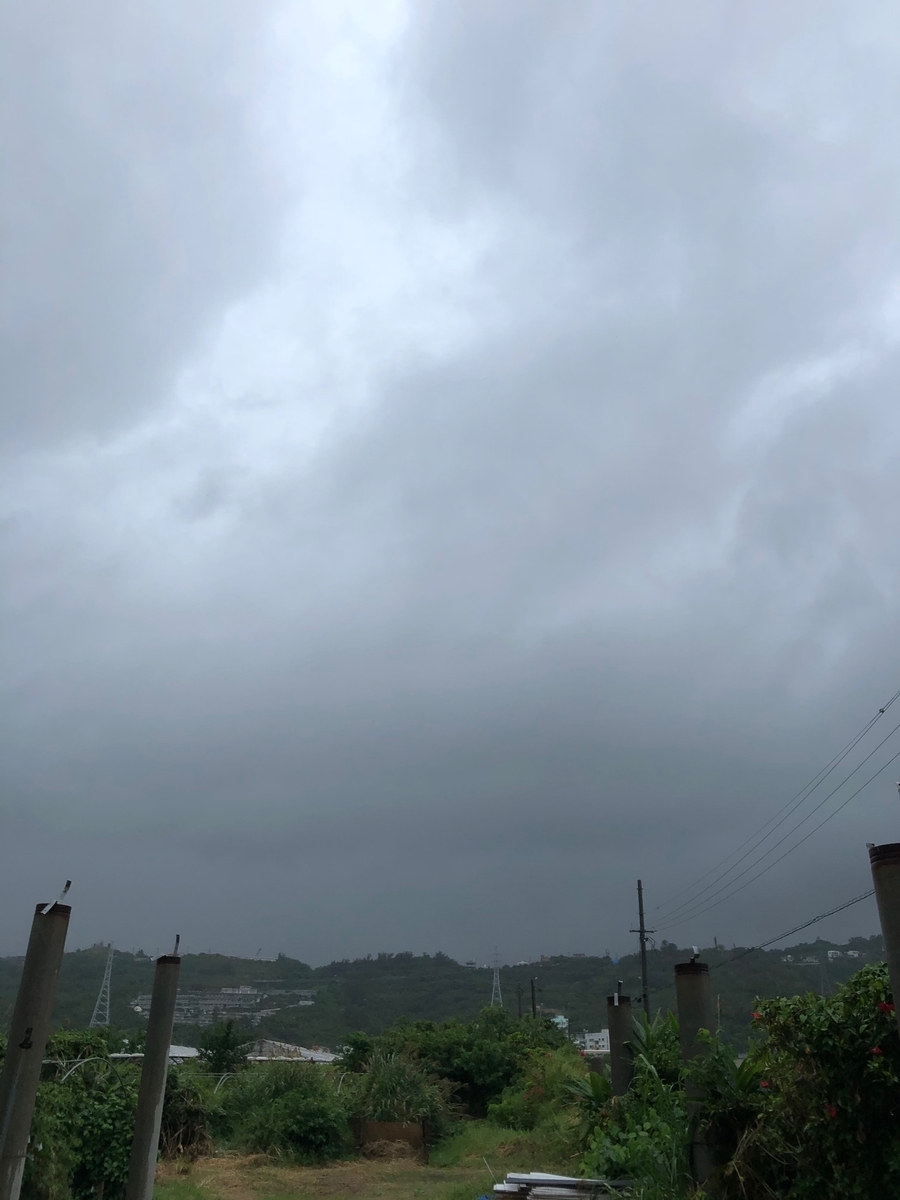 f:id:yanbarusango:20191207163328j:plain f:id:yanbarusango:20191207163328j:plain