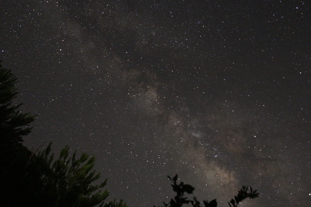 f:id:yanbarusango:20200703210845j:plain f:id:yanbarusango:20200703210845j:plain