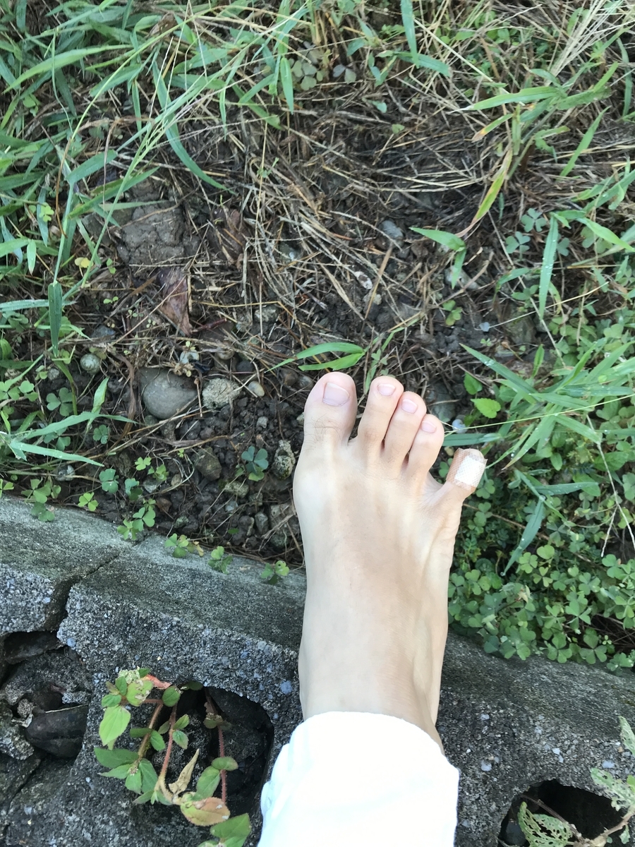 f:id:yanbarusango:20201111151727j:plain f:id:yanbarusango:20201111151727j:plain