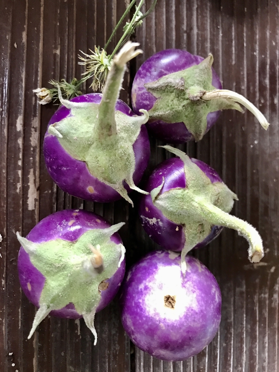 f:id:yanbarusango:20201216151452j:plain