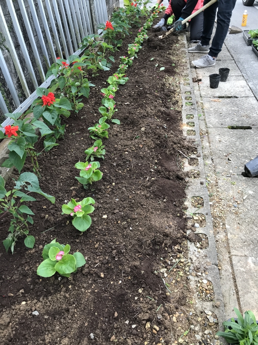 f:id:yanbarusango:20201220121402j:plain