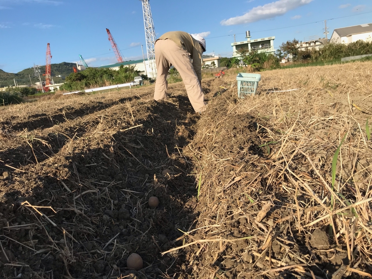 f:id:yanbarusango:20211124204452j:plain