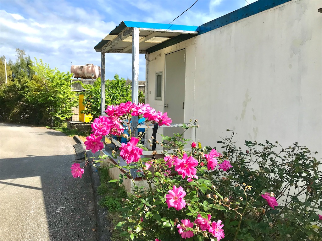 f:id:yanbarusango:20220314181249j:image