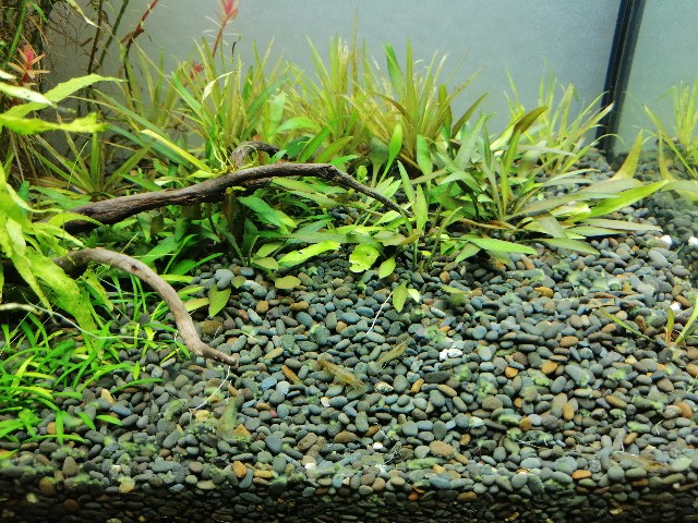 f:id:yanbo-w:20210822190151j:image