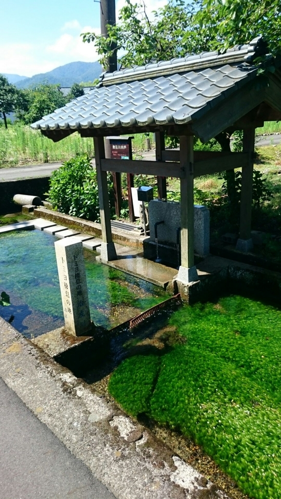 f:id:yanchiyamaru:20180716213020j:plain f:id:yanchiyamaru:20180716213020j:plain